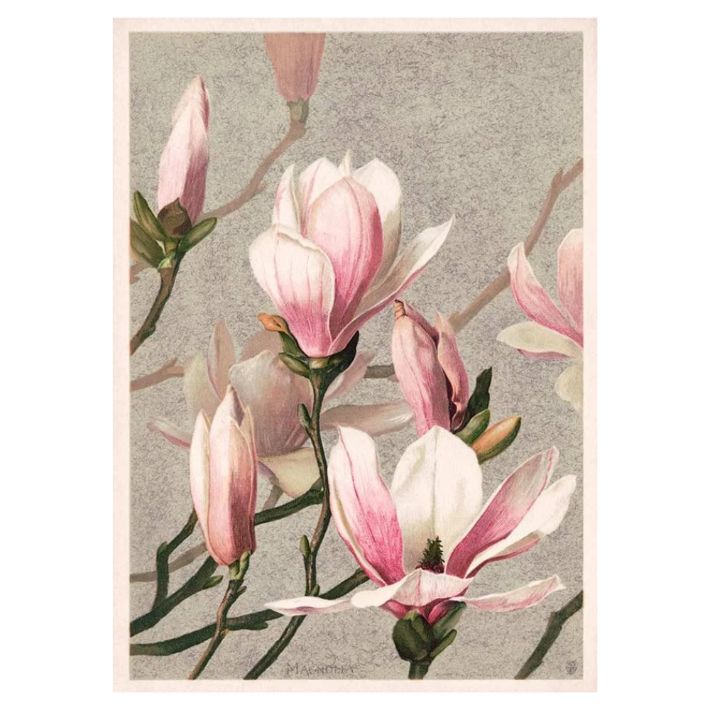 Sunrise Sunset Wall Poster