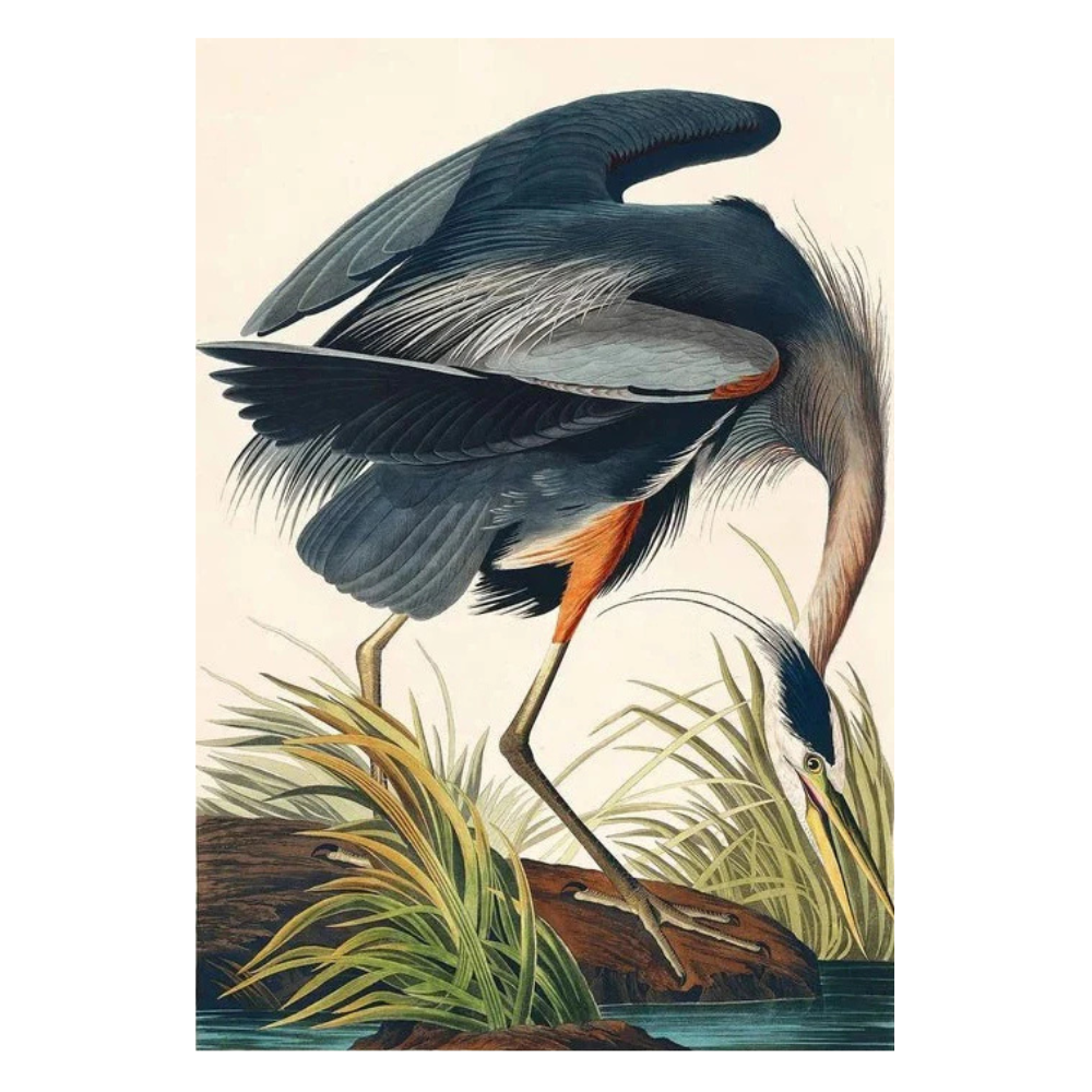 Sunrise Sunset Wall Poster