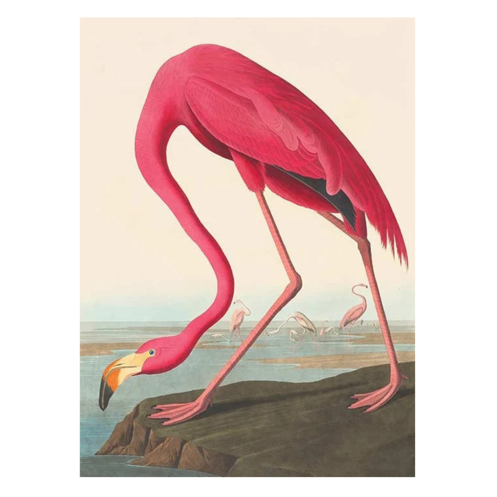 Sunrise Sunset Wall Poster