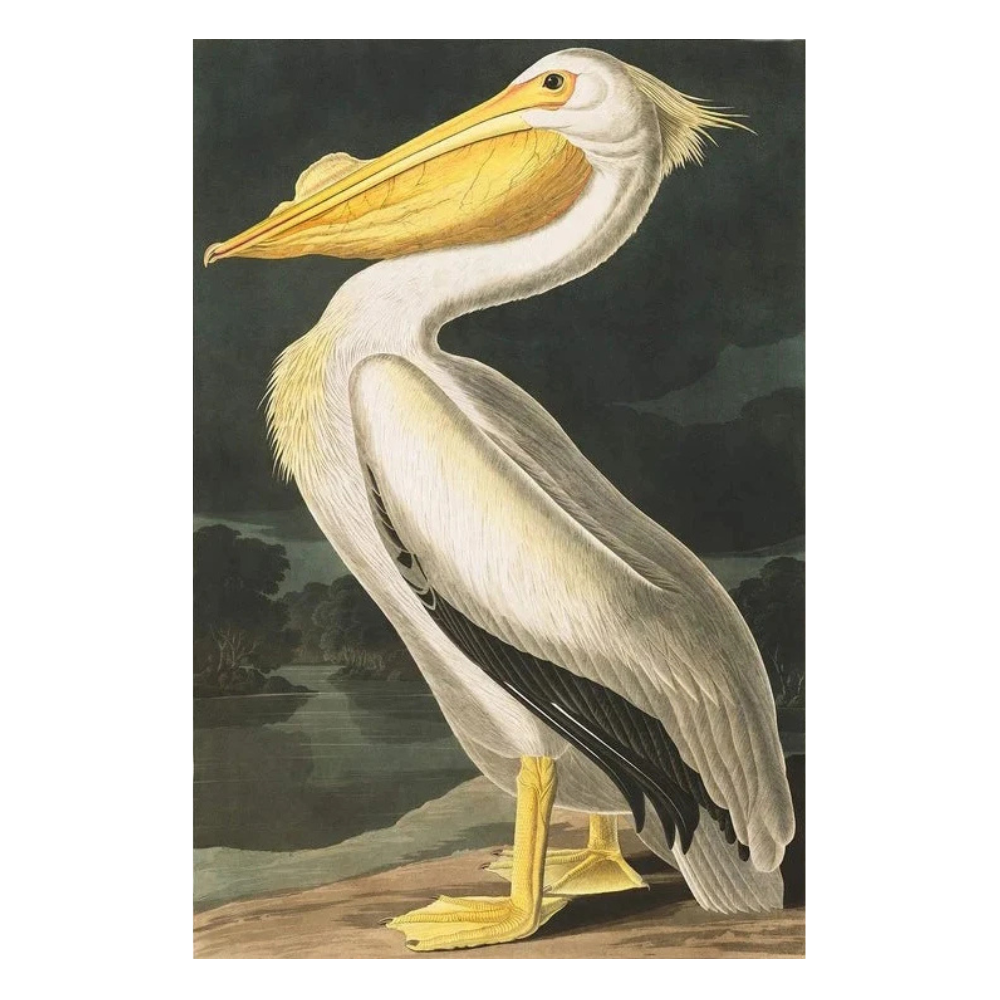 Sunrise Sunset Wall Poster